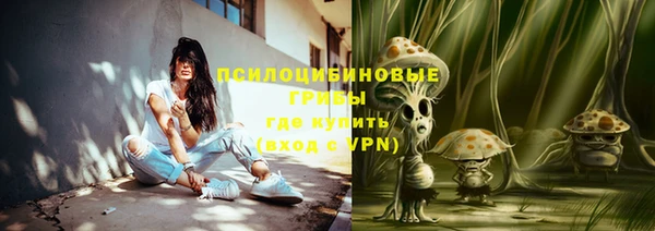 jwh Богородицк