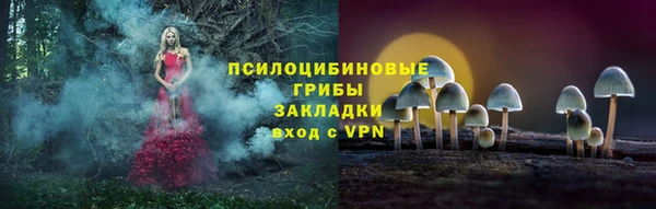 эйфоретик Богданович