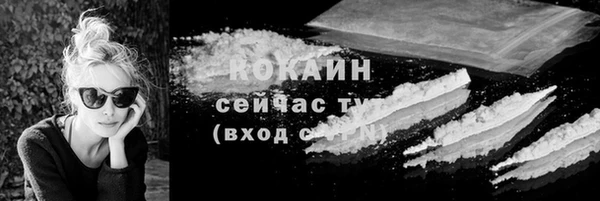 эйфоретик Богданович