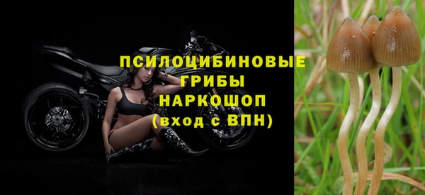не бодяженный Белокуриха