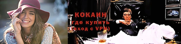 эйфоретик Богданович