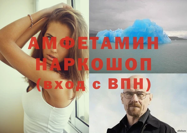 эйфоретик Богданович