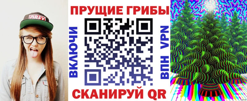 Галлюциногенные грибы Cubensis  площадка как зайти  Ейск  сколько стоит 